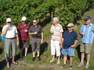 Barfu�pfad Bad Sobernheim